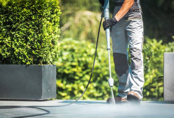 Best Roof Washing  in Marillo, CA