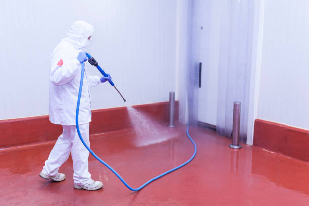 Paint Preparation in Camarillo, CA